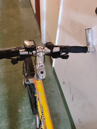 Bicicleta de Montaña vintage