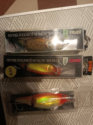 Señuelos Rapala X-Rap Jointed Shad