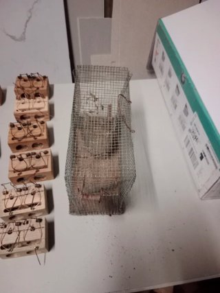 Jaulas para ratas de madera y metal
