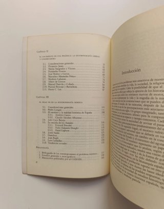 Los moriscos en el pensamiento histórico.