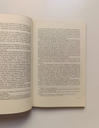 Los moriscos en el pensamiento histórico.