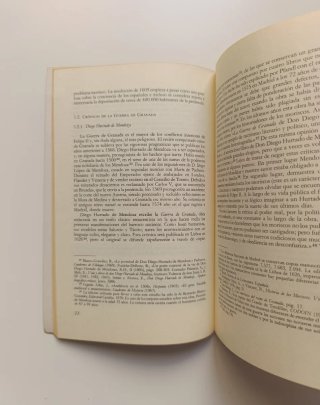 Los moriscos en el pensamiento histórico.