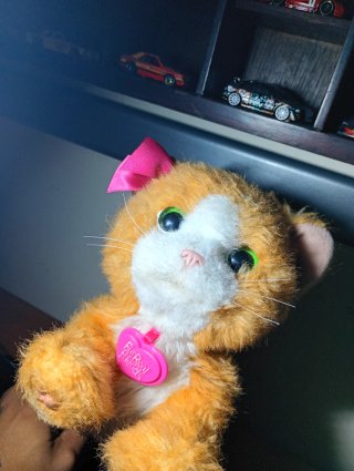 Gato Fisher-Price Electrónico