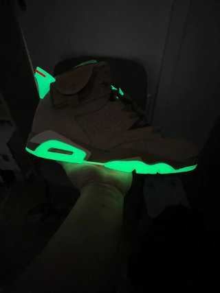 Jordan 6 x Travis Scott Marroni/Verdi