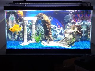Lámpara LED Acuario Extensible
