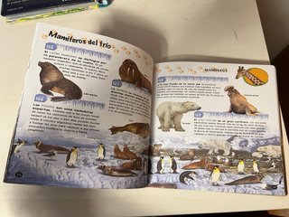 Pack Libros de Animales y Dinosaurios