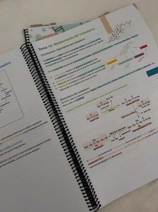Apuntes de Bioquímica y prácticas