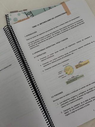 Apuntes de Bioquímica y prácticas
