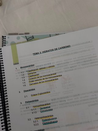 Apuntes de Bioquímica y prácticas