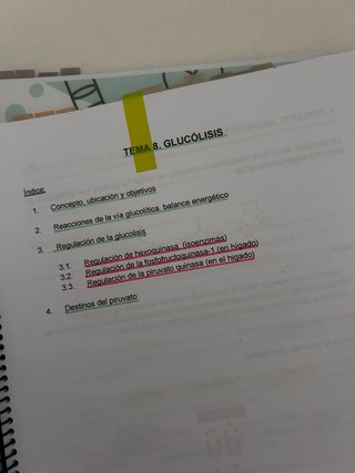 Apuntes de Bioquímica y prácticas