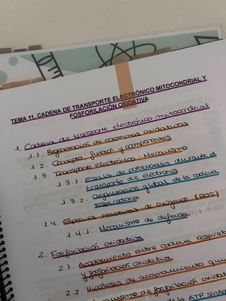 Apuntes de Bioquímica y prácticas
