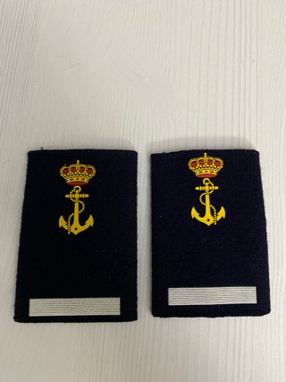 Manguitos militares CAES