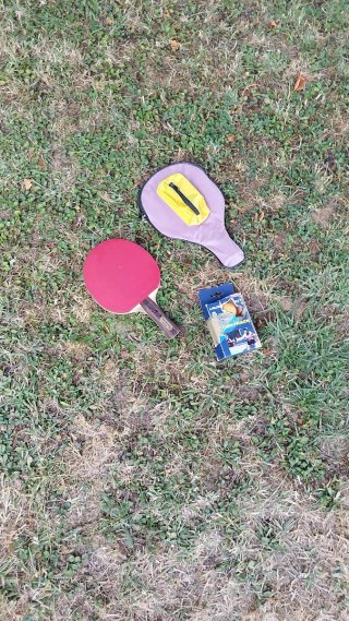 Pala de ping pong y pelotas