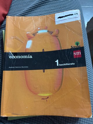 Economía : 2o Bachillerato Savia