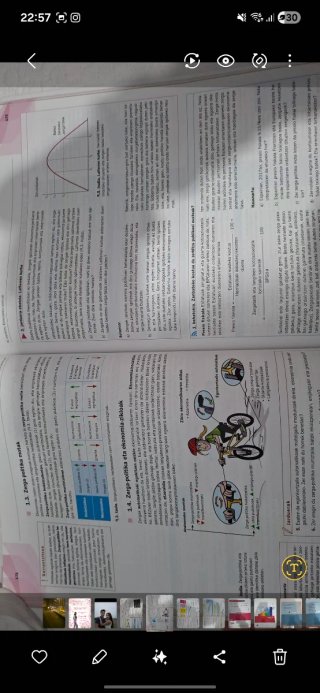 Ekonomia 1 batxilergoa