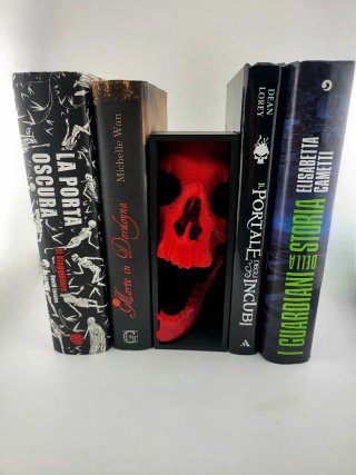 Angolo Libri Calavera Decorazione Scaffale