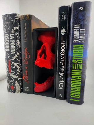 Angolo Libri Calavera Decorazione Scaffale