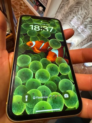 iPhone XR Giallo