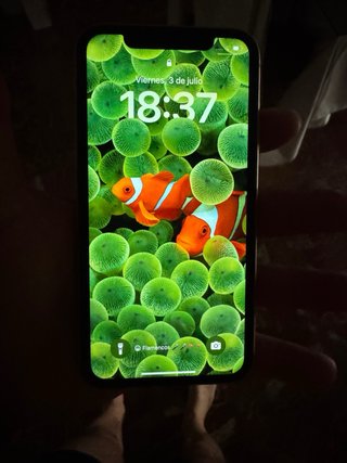 iPhone XR Giallo