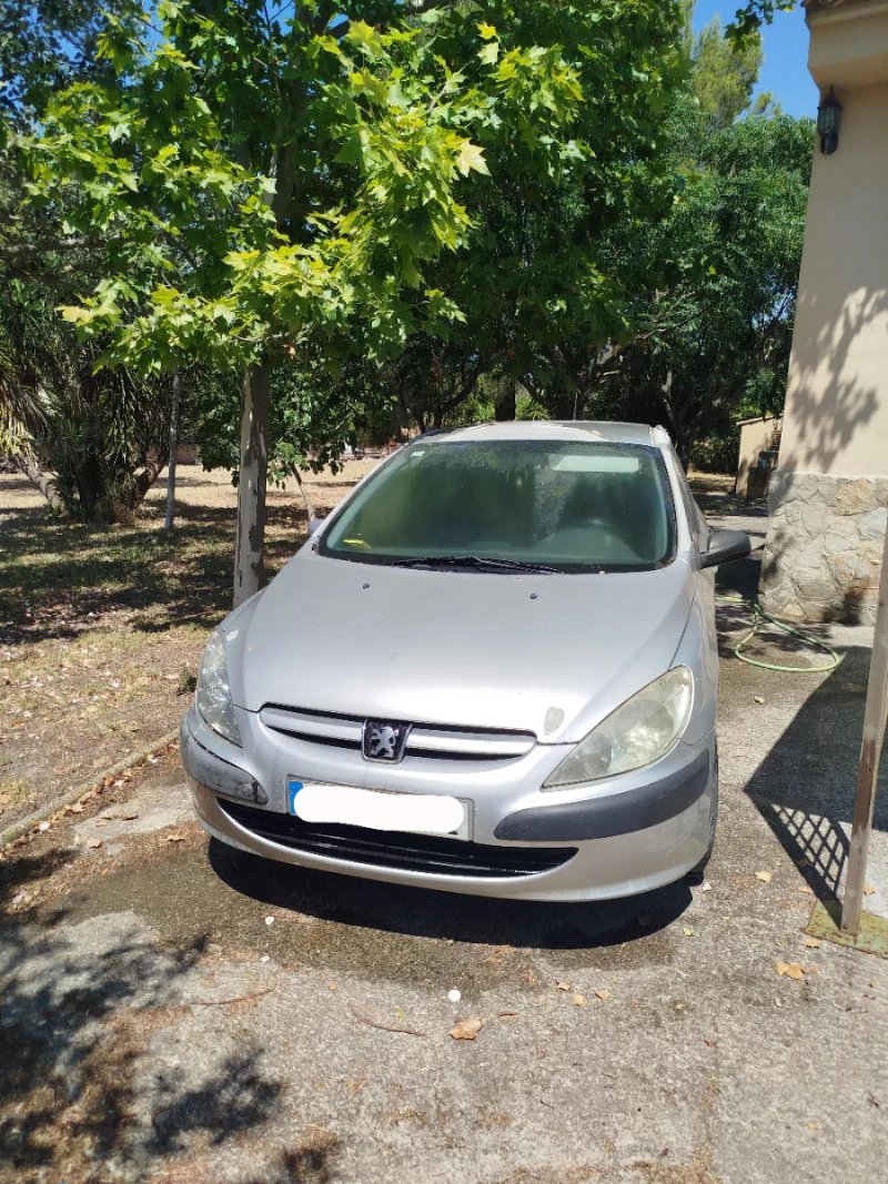 Peugeot 307 2004 - foto 1
