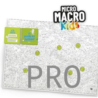 Micro Macro Kids. Qué Locura De Parque