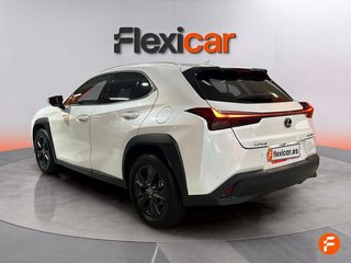 Lexus UX 2.0 250h Business