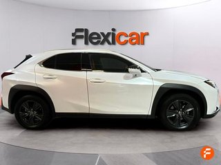 Lexus UX 2.0 250h Business