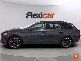 Cupra León SP 1.5 eTSI 110kW (150CV) DSG