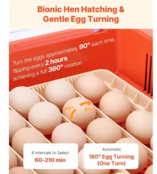 Incubadora Huevos SucceBuy 36 Huevos Naranja