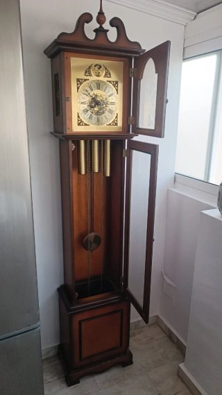 Reloj de pie tempus fugit de tres pesas