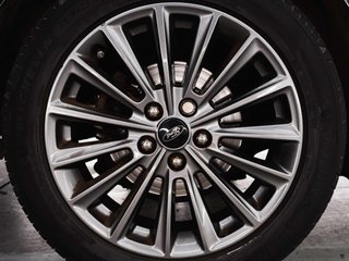 Ford Focus Focus 1.0 EcoBoost ST-Line Start/Stopp
