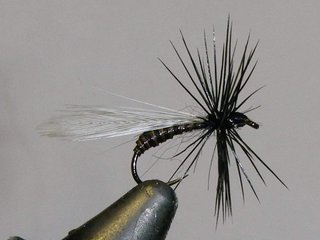 HORMIGAS PARA PESCA CON MOSCA