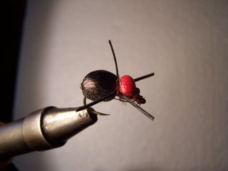 ESCARABAJOS PARA PESCA CON MOSCA