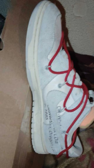 Nike Dunk Low Off-White 40 50