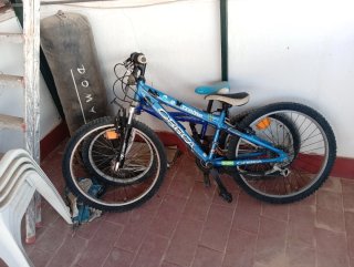 Bicicleta Orbea Talla 24