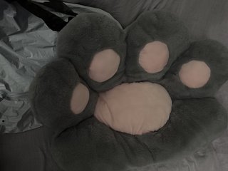 Cojín Patas de Gato Grueso