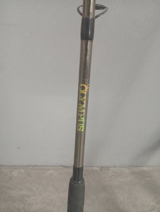 Lote de 5 cañas de pescar con carretes y accesorio