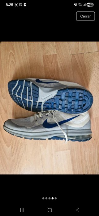 Zapatillas Nike Air Max Destiny