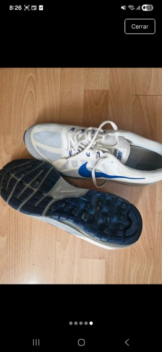 Zapatillas Nike Air Max Destiny
