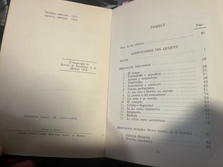 Ortega. Meditaciones del Quijote
