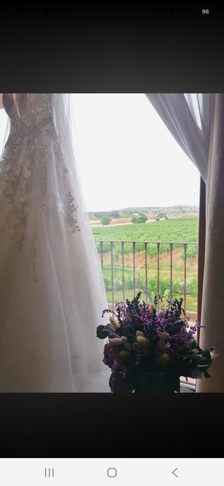 Vestido de Novia Rosa Clará Vesiree + Velo