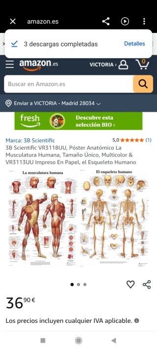 2 poster de anatomía en inglés