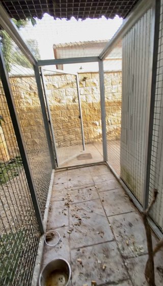 Jaula grande para loros o perros