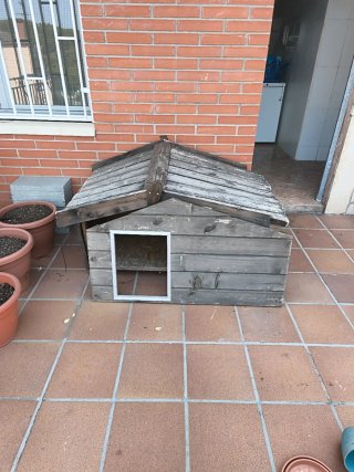 Caseta para perro de madera