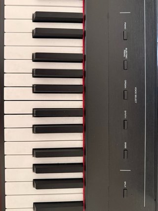 Piano digital negro Alesis.