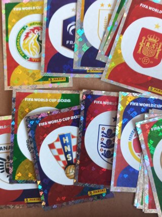 Set completo de los 48 Escudos Colección Cromos Pa