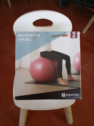 Balón Pilates y Premamá Morado