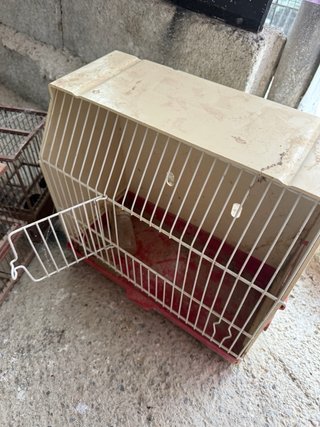 Jaula para pájaros vintage