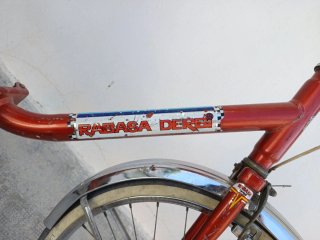 Bicicleta plegable Rabasa Derbi