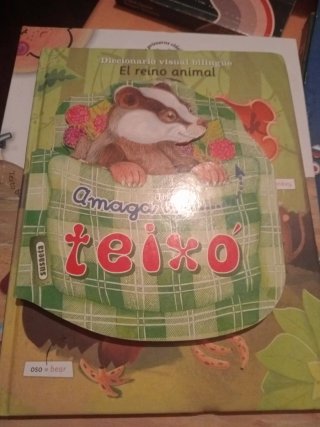 Cuentos